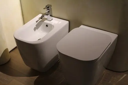 Bidet-Installation--in-Jarrell-Texas-bidet-installation-jarrell-texas.jpg-image