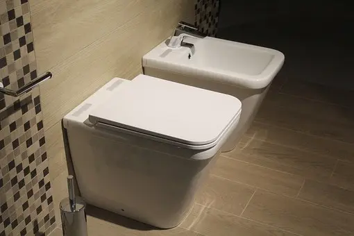 Bidet-Repair--in-Bedford-Texas-bidet-repair-bedford-texas.jpg-image