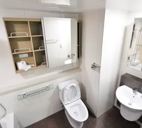 Toilet-Repair--in-Fayetteville-Texas-toilet-repair-fayetteville-texas.jpg-image